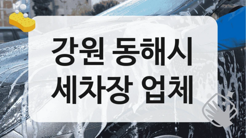 강원 동해시
세차장 업체
