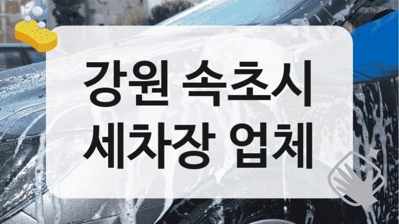 강원 속초시
세차장 업체