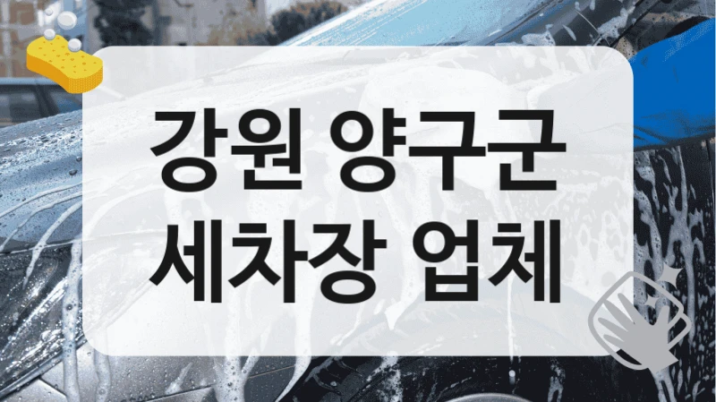 강원 양구군
세차장 업체