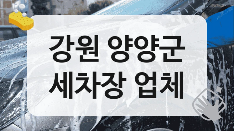 강원 양양군
세차장 업체