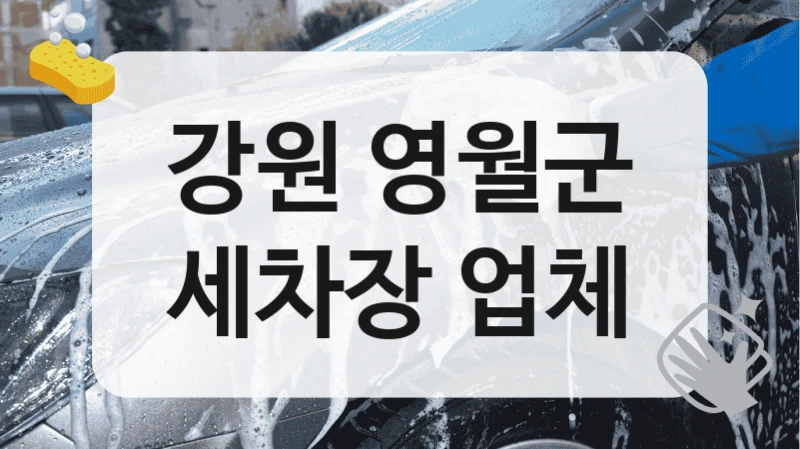 강원 영월군
세차장 업체
