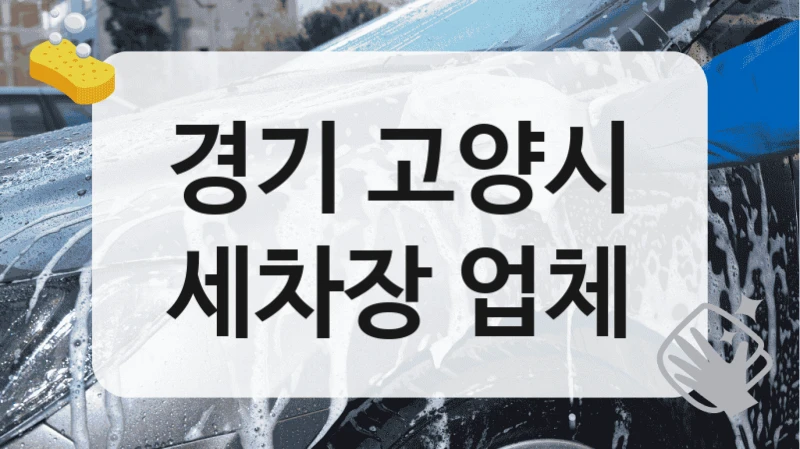 경기 고양시
세차장 업체