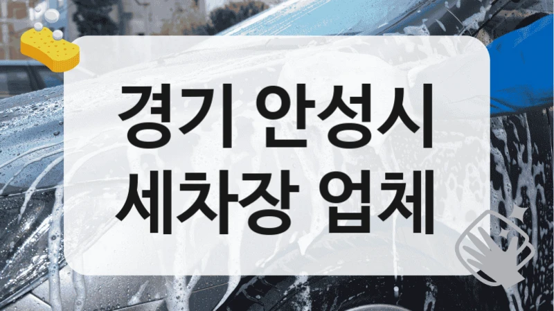 경기 안성시
세차장 업체