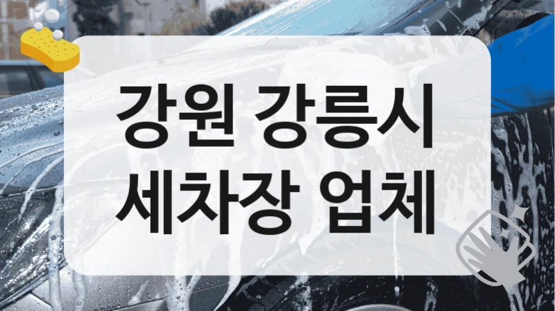 강원 강릉시
세차장 업체