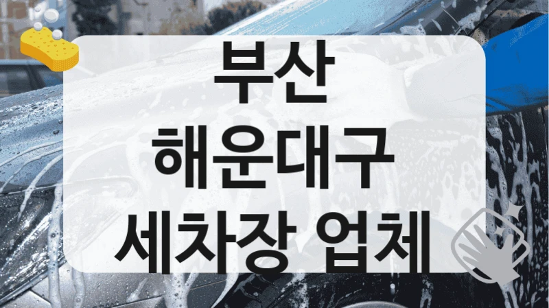 부산 해운대구
세차장 업체