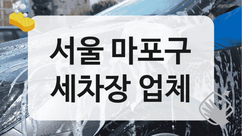 서울 마포구
세차장 업체