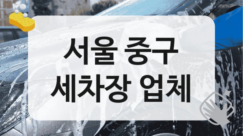 서울 중구
세차장 업체
