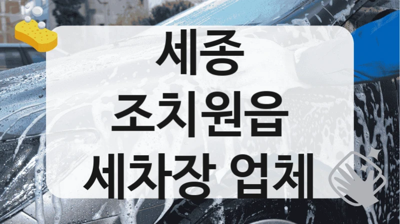 세종 조치원읍
세차장 업체