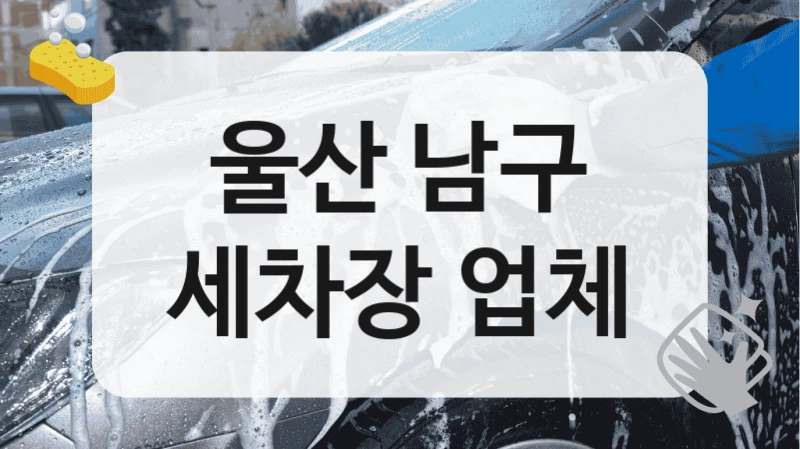 울산 남구
세차장 업체