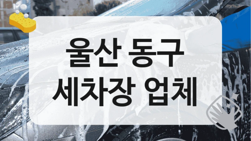 울산 동구
세차장 업체