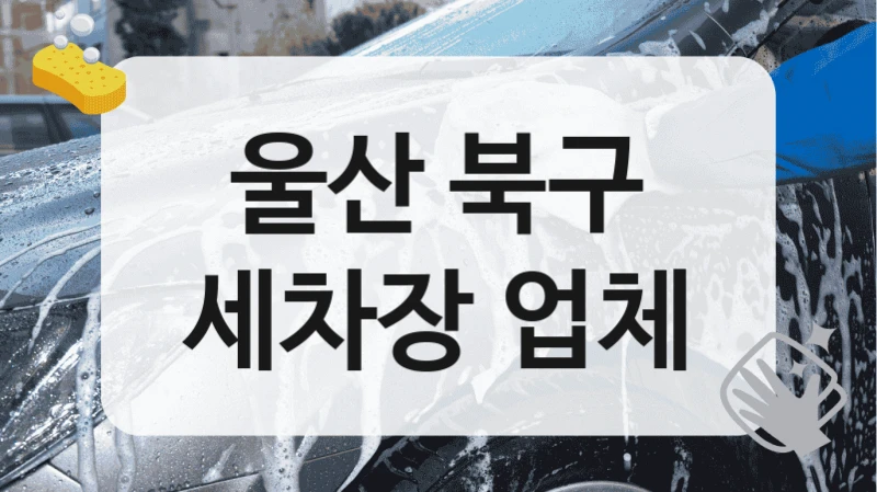 울산 북구
세차장 업체