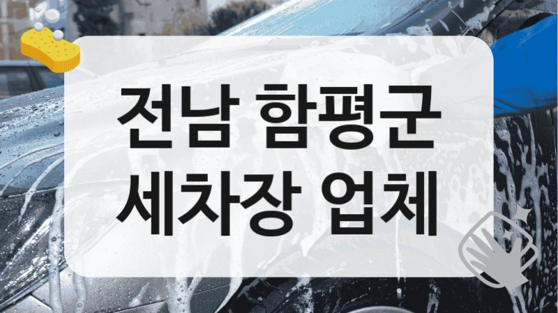 전남 함평군
세차장 업체