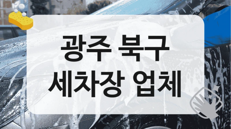 광주 북구
세차장 업체