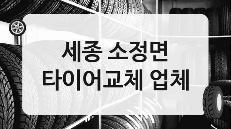 세종 소정면
타이어교체 업체