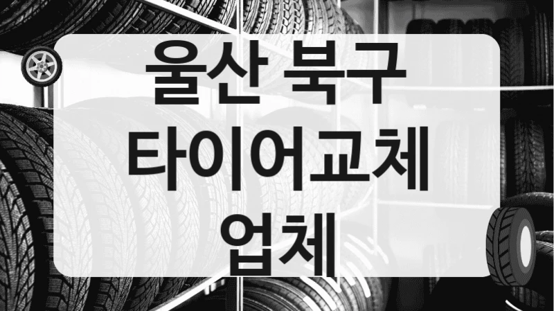 울산 북구
타이어교체 업체