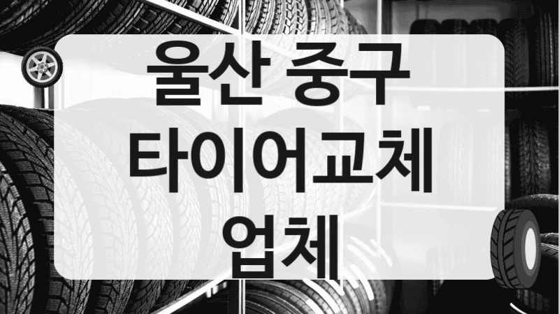 울산 중구
타이어교체 업체