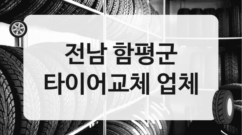 전남 함평군
타이어교체 업체