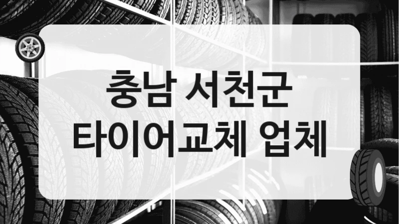 충남 서천군
타이어교체 업체