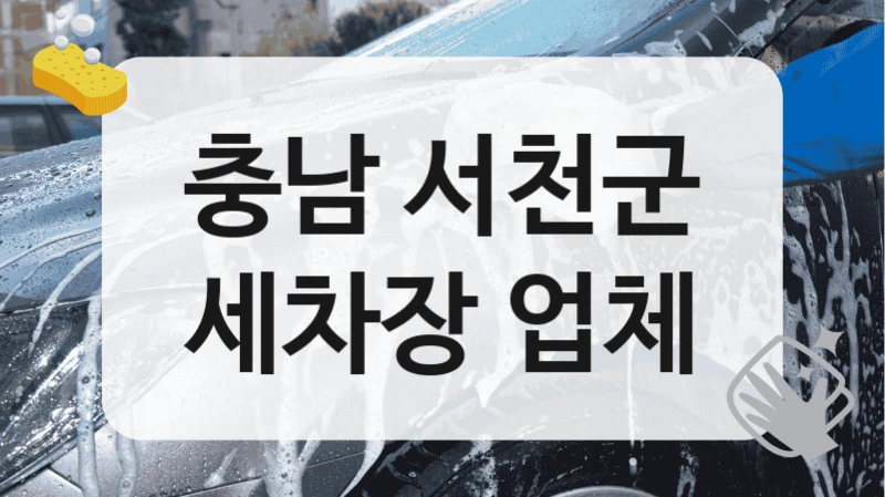 충남 서천군
세차장 업체